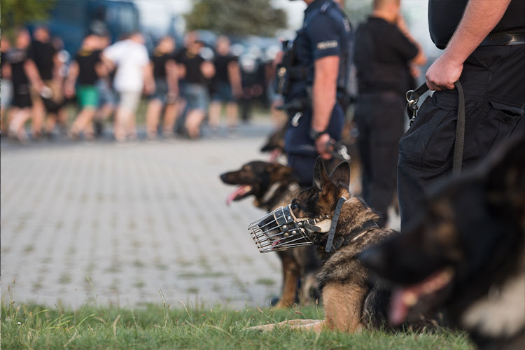 Protest-Dog-Handlers